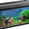 EHEIM Aquastar 54 LED Schwarz - Aquarienset