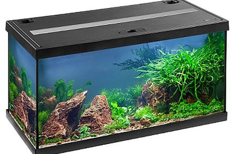 EHEIM Aquastar 54 LED Schwarz - Aquarienset 1 EHEIM Aquastar 54 LED Schwarz - Aquarienset