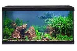 EHEIM Aquastar 54 LED Schwarz - Aquarienset 9 EHEIM Aquastar 54 LED Schwarz - Aquarienset -Tier Produkt Geschäft 0340645 EHEIM aquastar 54 LED schwarz 05