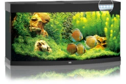 Juwel Vision 260 LED Schwarz Aquarium-Set -Tier Produkt Geschäft 13j6350 JUWEL Vision 260 LED schwarz Aquarium 2