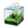 Aquatlantis Aquarienset Nano Cubic 30 LED, Weiß