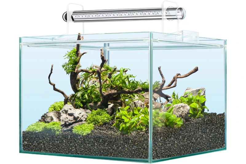 Sera Scaper Cube 48 Liter - Starterset 2 Sera Scaper Cube 48 Liter - Starterset – Bild 2