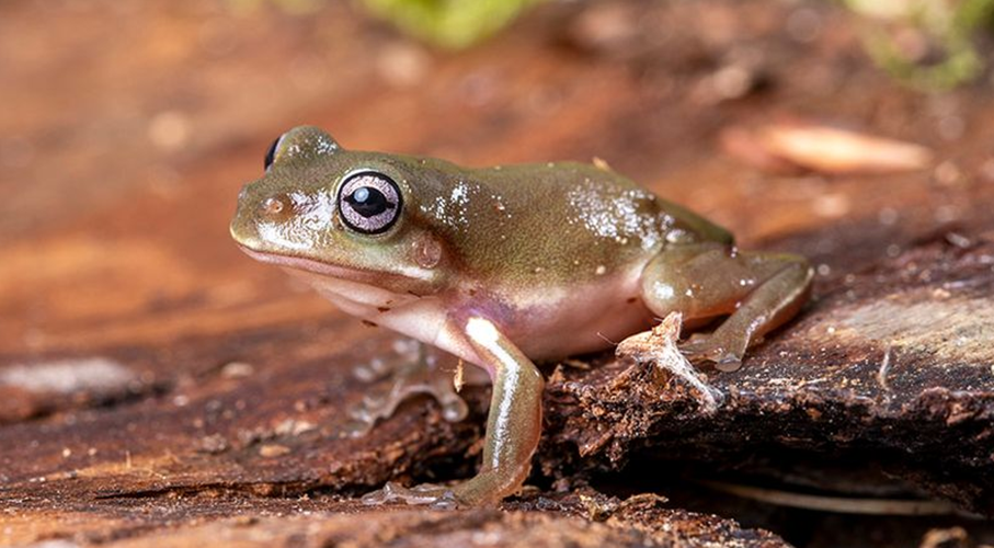 Tier Produkt Geschäft -Tier Produkt Geschäft 540dd095145ca730fd39d019e5e5dfbf