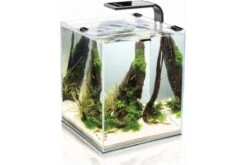 Aquael Shrimp Set Smart 2, 20 Liter, LED Schwarz