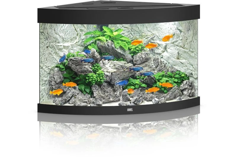 Juwel Aquarium Trigon 190 LED, Schwarz 1 Juwel Aquarium Trigon 190 LED, Schwarz