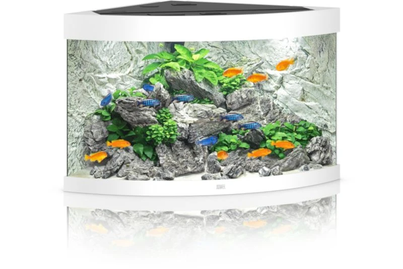Juwel Aquarium Trigon 190 LED, Weiß 1 Juwel Aquarium Trigon 190 LED, Weiß