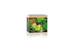 Juwel Lido Aquarium 120 LED, Helles Holz
