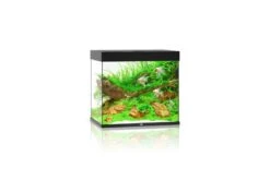 Juwel Lido Aquarium 200 LED, Schwarz