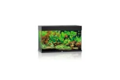 Juwel Rio Aquarium 125 LED, Schwarz