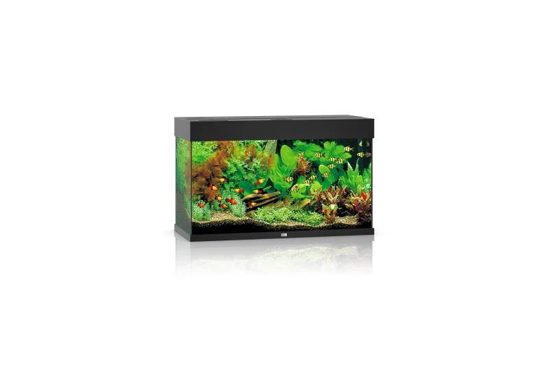 Juwel Rio Aquarium 125 LED, Schwarz 1 Juwel Rio Aquarium 125 LED, Schwarz