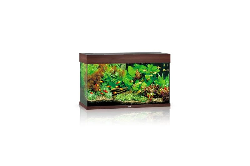 Juwel Rio Aquarium 125 LED, Dunkles Holz 1 Juwel Rio Aquarium 125 LED, Dunkles Holz