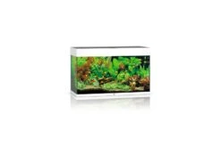 Juwel Rio Aquarium 125 LED, Weiß