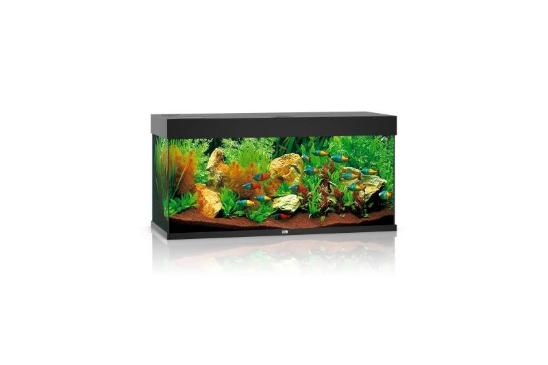 Juwel Rio Aquarium 180 LED, Schwarz 1 Juwel Rio Aquarium 180 LED, Schwarz