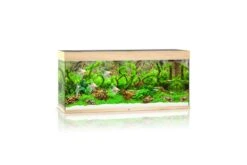 Juwel Rio Aquarium 240 LED, Helles Holz