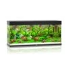 Juwel Rio Aquarium 240 LED, Schwarz