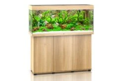 Juwel Rio 240 LED SBX Kombination, Helles Holz