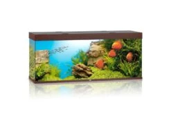 Juwel Rio Aquarium 450 LED, Dunkles Holz