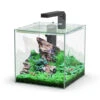 Aquatlantis Kubus 10 L LED Aquarienset