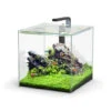 Aquatlantis Kubus 54 L LED Aquarienset