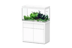 Aquatlantis Sublime 245 Piano Weiß Kombi 40mm, 100x50 Cm