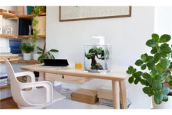 Aquael Shrimp Set Day&Night, 10 Liter Schwarz -Tier Produkt Geschäft shrimp set day night 2